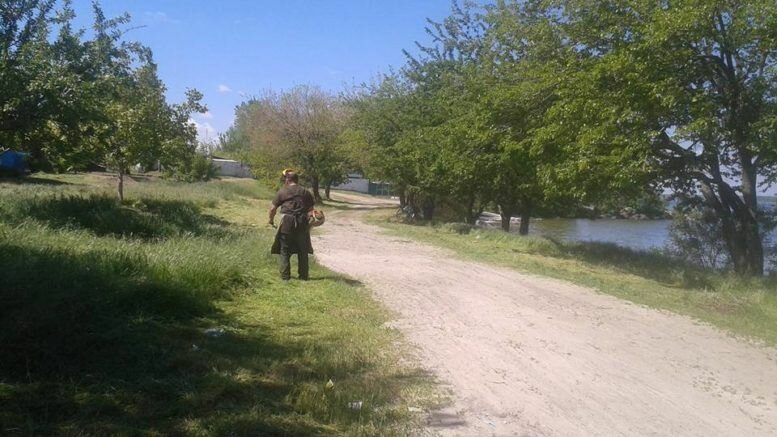 18519979_619400994916132_1497154301990098719_n